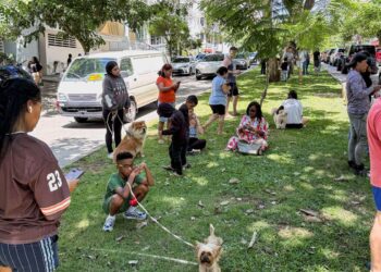 Forte terremoto sacode o Panamá; operações do canal seguem normalmente